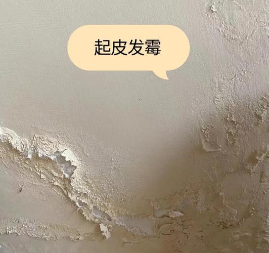 东方雨虹防霉防潮产品实测分享