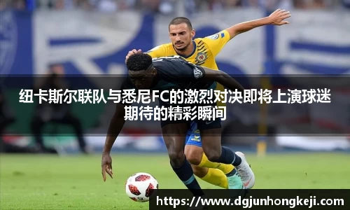 ac米兰体育